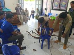 WhatsApp Image 2025-03-04 at 10.46.01 (1)