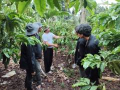 IMG_20260905_175158.jpg