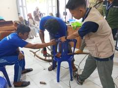 WhatsApp Image 2025-03-04 at 10.45.59