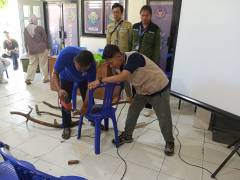 WhatsApp Image 2025-03-04 at 10.46.01